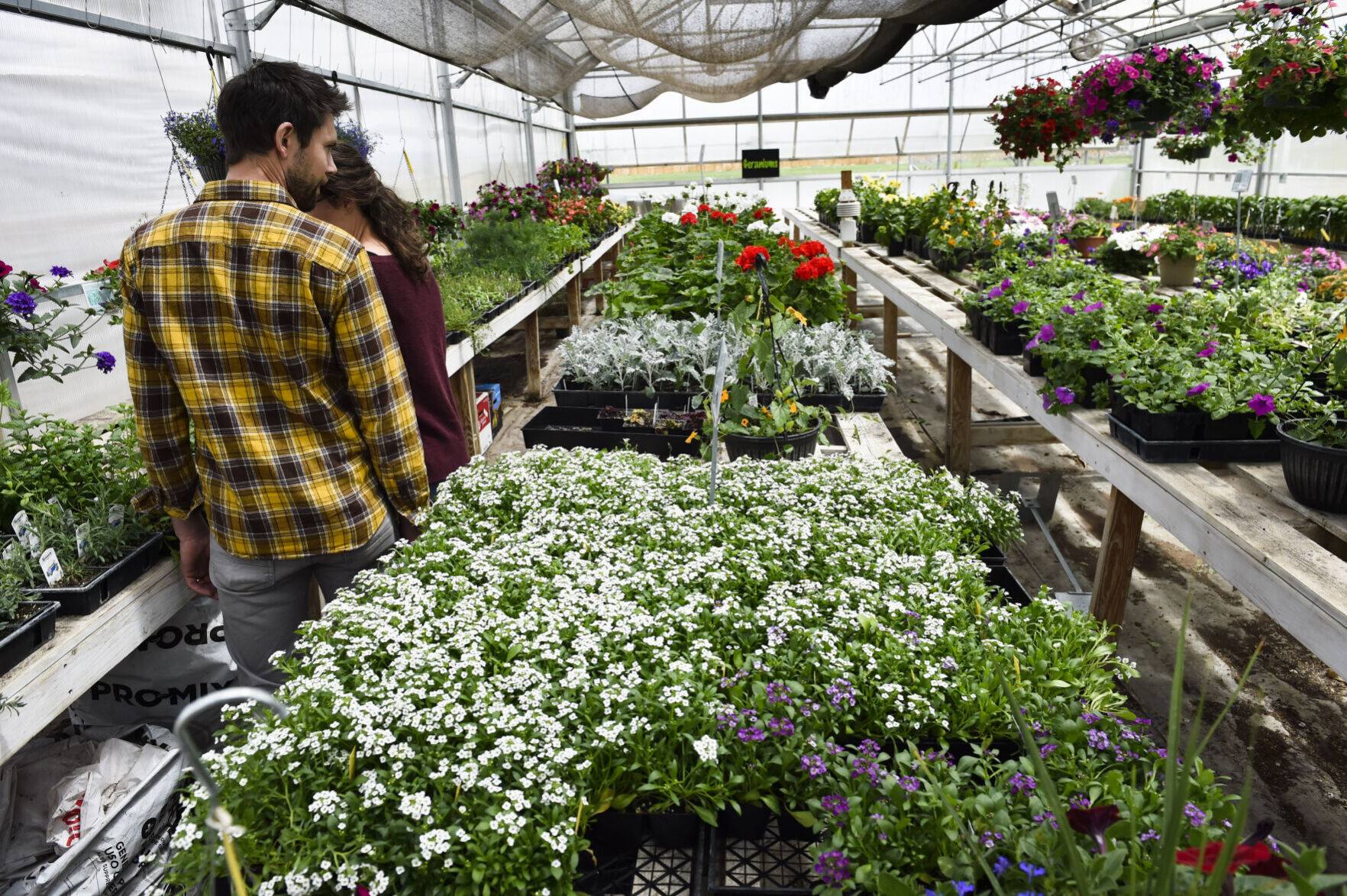Johnson's Nursery and Gardens